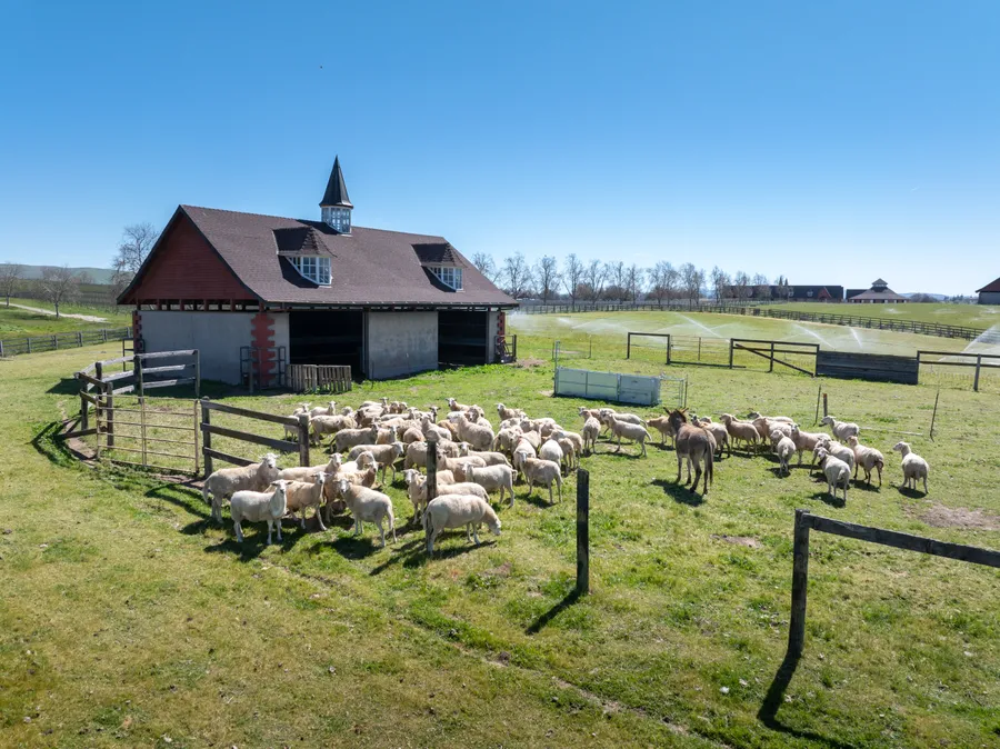 Windfall Farms