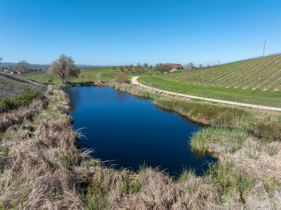 Windfall Farms